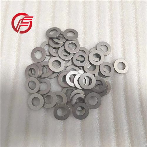 DIN9021 Gr2 Gr5 Titanium Flat Washer